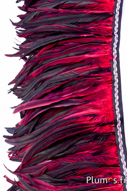 Hahnenfederkragen - Länge der Federn 25-32 cm - schwarz-karminrot